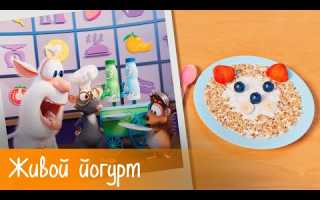 Буба — Готовим с Бубой: Живой йогурт — Серия 19 — Мультфильм для детей